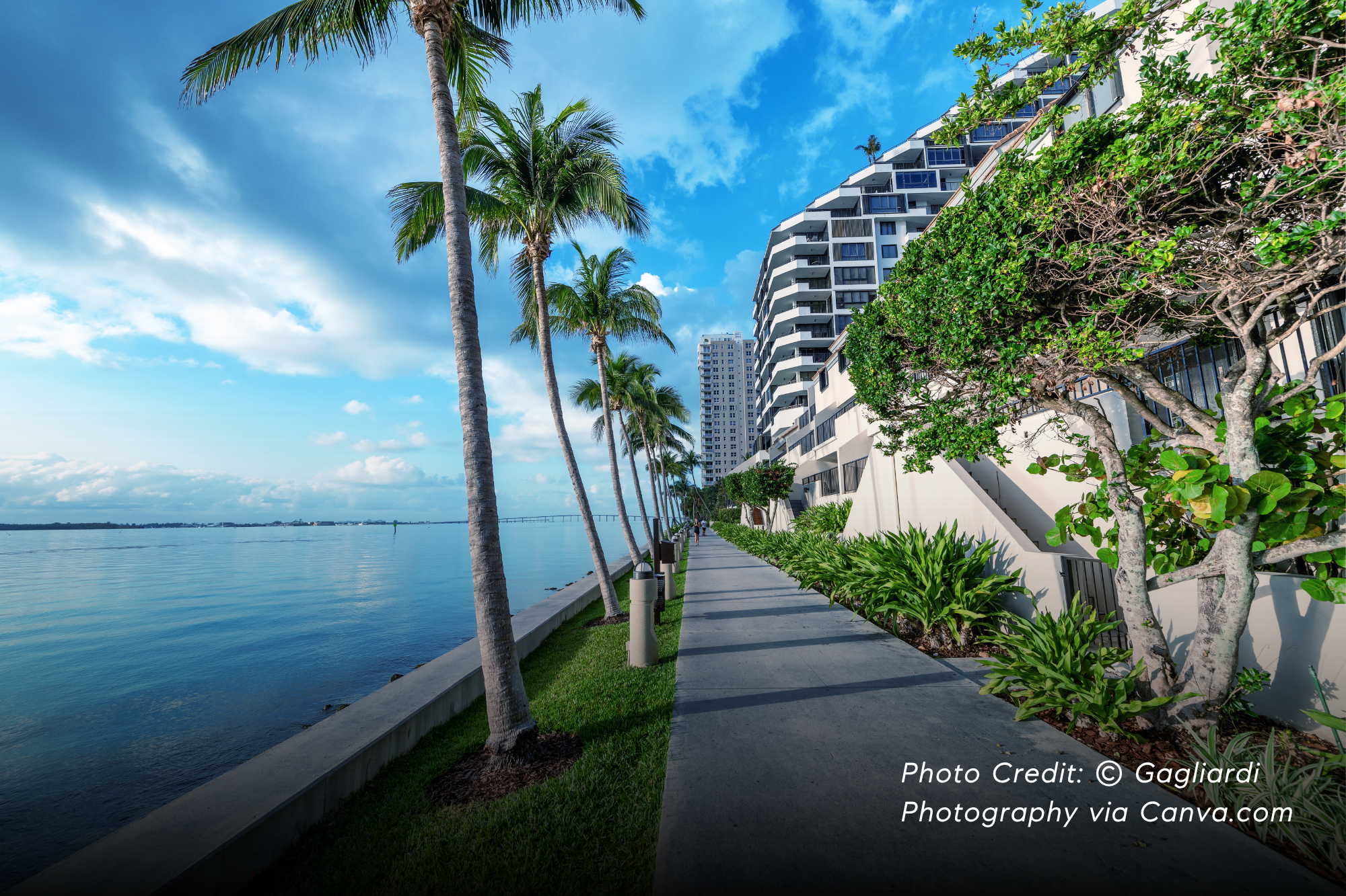 Miami’s Luxury Real Estate in 2025: Where Tech Capital and AI Redefine Value