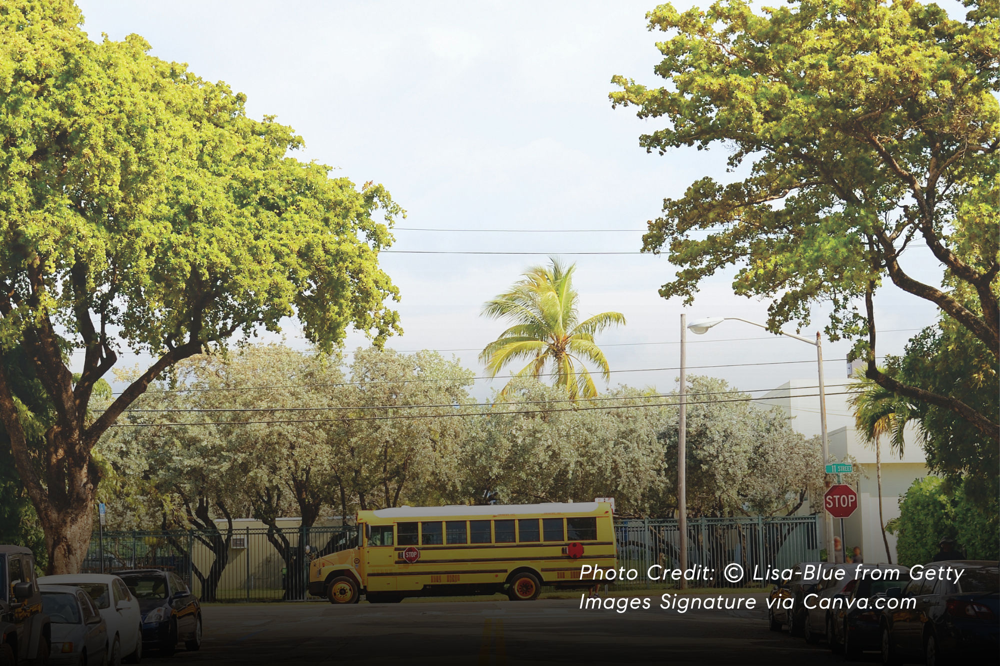 Charter Schools Expanding to Miami as Florida Pushes School Choice